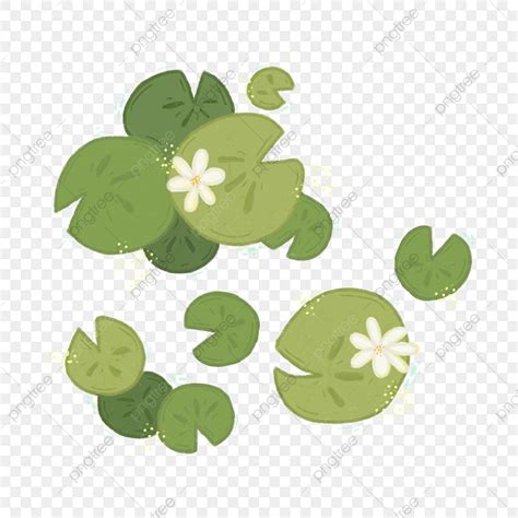 lily pad flower template  flower site