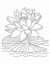 Lotus Coloring Pages Printable Kids Print sketch template