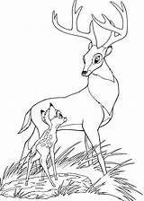 Coloring Bambi Pages Disney Cartoon Popular Printable sketch template