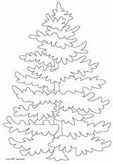 Evergreen Coloring Tree Pages Trees Getcolorings Printable Color sketch template