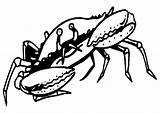 Krab Colorare Crab Animasi Kepiting Mewarnai Krabbe Malvorlagen Krebs Crabe Kleurplaat Ausmalbild Granchio Caranguejo Granchi Coloriages Krabben Bergerak Crabs Animierte sketch template