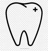 Dentes Dente Pinclipart sketch template