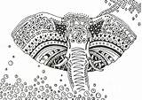 Mandala Afrique Ausmalen Elefants Coloriages Difficiles Bestof Mandalas Kostenlos 101coloring Erwachsene Coloriage Auswählen Ausmalbilder sketch template