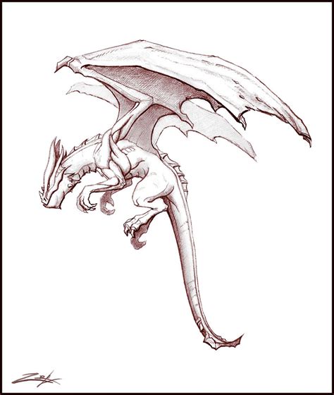 dragon sketch  zoriy  deviantart