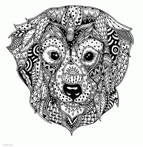 top image dog coloring pages