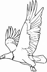 Eagle Bald Remix Coloring Book Clipart sketch template