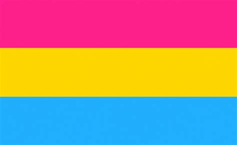 pansexual 5 x 3 flag