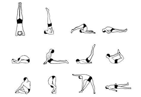 basic asanas  hatha yoga   benefits rakesh yoga medium