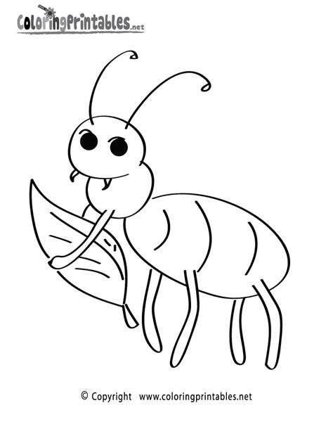 fun insect coloring page   nature coloring printable