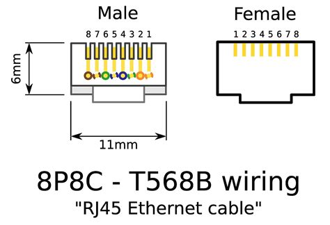 ethernet female wiring diagram