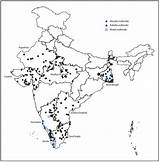 Measles India 2010 Drawing Implementing Strategies Reduction Mortality Progress Rubella Surveillance Getdrawings Polio National Data Project Mmwr Mmwrhtml Cdc Gov sketch template