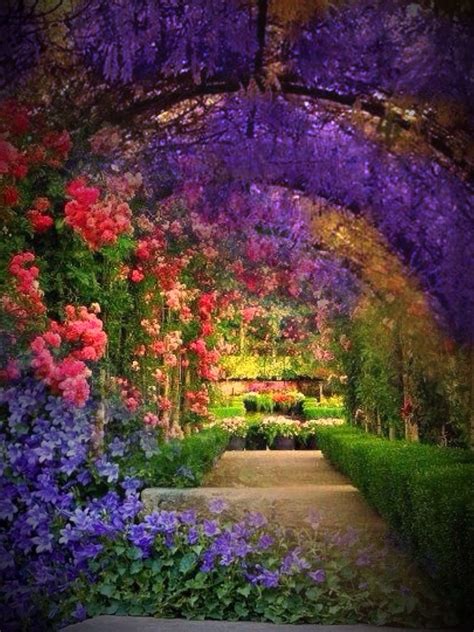 beautiful dream garden images