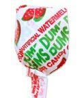 dum dums watermelon   favorite dum dums candyland candy