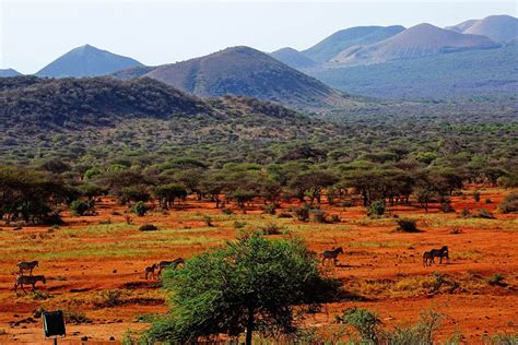 safari kenia bestemmingen waar je tijdens je safari naartoe  gaan