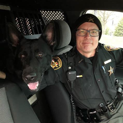 welcome back deputy beohm and k9 otis carroll county