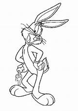 Looney Tunes Pernalonga Page3 Pintar Perna Loony Sheets Adult Doghousemusic Rabbit sketch template