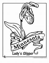 Coloring Minnesota Flower Pages State Plate Nebraska License Clipart Wisconsin Print Badgers Dinner Template Vector Printable Flag Getcolorings Kids Logo sketch template