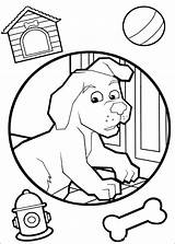 Wonder Coloring Pets Pages Disegni Fun Color Pm Posted Popular sketch template