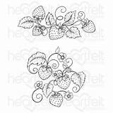 Strawberry Vine Drawing Berries Blooming Drawings Paintingvalley sketch template