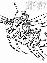 Ant Antman Mewarnai Sketsa Paseo Avenger Ejecutar Mewarnaigambar Transformer Ausmalen Pintar Kartun Dibujosonline Coloringhome sketch template