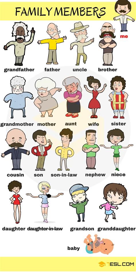 members   family vocabulary  english eslbuzz