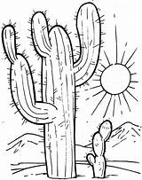 Coloring Cactus Pages Drawing Easy sketch template