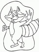 Raccoon Coloring Pages Kids Print Printable Color sketch template