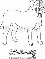 Bullmastiff sketch template