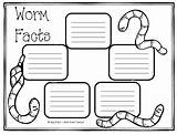 Worms Worm Facts Activities Science Kindergarten Printable Eat Fun Fried Grade Teaching Book Life Earthworms Soil Interesting Lessons Fair First sketch template