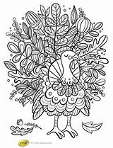 Thanksgiving Coloring Pages Turkey Sheets Kids Activity Printable Designs Printables Decorative Book Turkeys Parties Birthday Great Fall Crayola Kidspartyworks Books sketch template