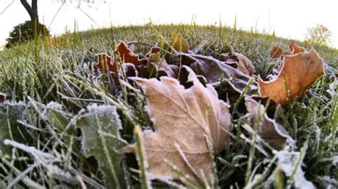 environment canada issues frost advisory   parts  southern