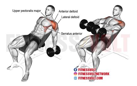 How To Do Dumbbell Incline Shoulder Raise Exercise Guide And Video