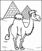 Camel Coloring Kids Pages Children Fun Fascinating sketch template
