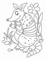 Coloring Armadillo Pages Printable Armadillos Animal Comments Colouring Popular Choose Board Coloringhome sketch template