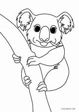 Koala Zum Ausmalen Cool2bkids sketch template