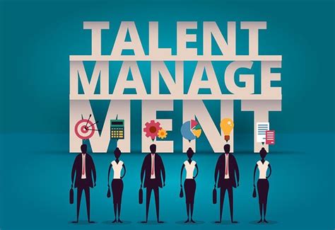 evolution  talent management vim beget