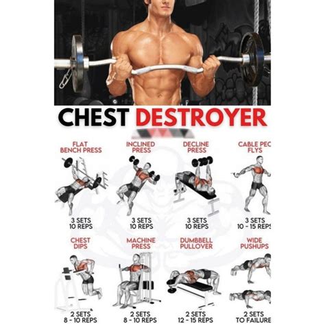 chest destroy exercise plan dumbbell chest workout  chest
