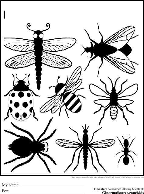 printable insect pictures printable word searches