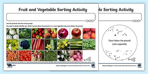 fruit  vegetable sorting worksheet worksheet twinkl