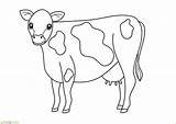 Hewan Mewarnai Sapi Cow Sketsa Kurban Kambing Contoh Marimewarnai Binatang Kartun Cows Perah Terlengkap Qurban Kerbau Berkaki Empat Vaca Kataucap sketch template