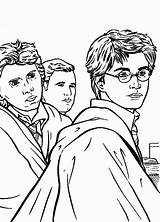 Harry Potter Coloring Pages Printable Kids Hallows Deathly sketch template