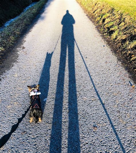 gv lichtenstein ueber den eigenen schatten zu springen ist gar nicht  einfach