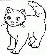 Gatos Siluetas Gato sketch template