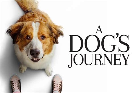 dogs journey universal pictures