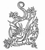 Celtic Dragon Drawing Coloring Pages Getdrawings sketch template