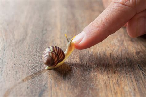 heres    snail mucin   skincare routine lifestyle asia singapore
