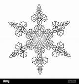 Mandala Snowflake Zentangle Drawn Doodles Natural Hand Style Alamy sketch template