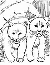 Coloring Lion Pages Kleurplaten Leeuwen Lions Kleurplaat Leeuw Printable Animal Animated Animals Kleuren Van Kids Color Coloringpages1001 Fun Coloring2print Zo sketch template