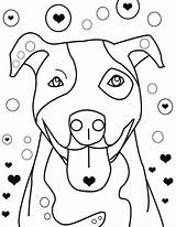 Pitbull Dog sketch template