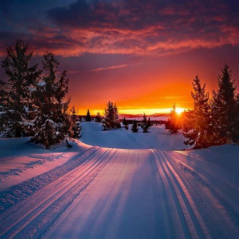 good morning winter morning mood from the ski track oppland norway share and tag your